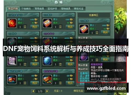DNF宠物饲料系统解析与养成技巧全面指南
